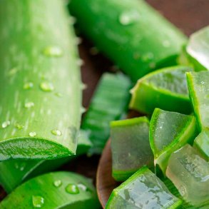 Aloe vera duftolie, koncentreret