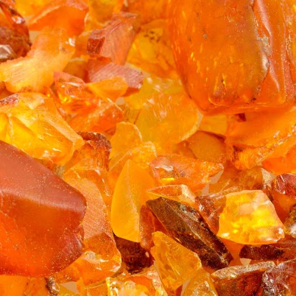 Rav duftolie (amber), koncentreret