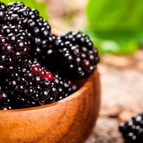 Bromb�r duftolie (blackberry), koncentreret