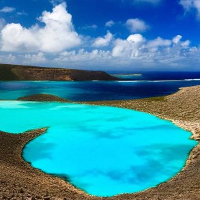 Bl� lagune duftolie (blue lagoon), koncentreret
