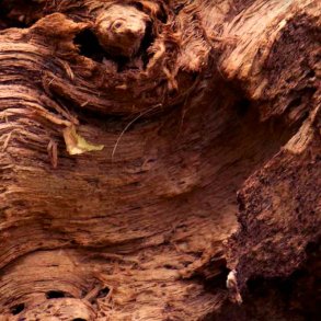 Paco Rabanne-inspireret duftolie (Bold), koncentreret, maskulin