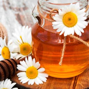 Kamille og honning duftolie (chamomile & honey), koncentreret