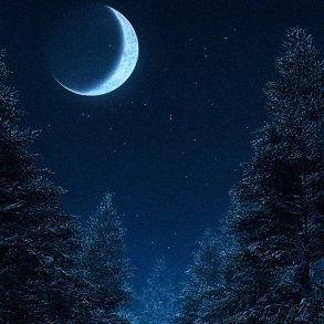 M�rkt eventyr-duftolie (dark fairytale), koncentreret