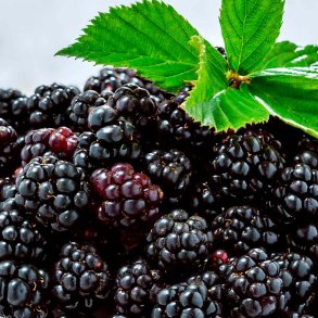 Korb�r duftolie (dewberry), koncentreret