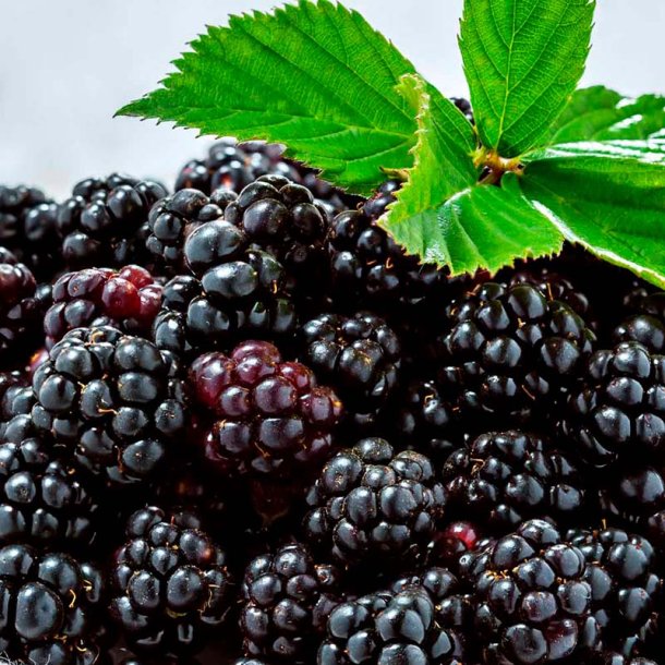 Korbr duftolie (dewberry), koncentreret