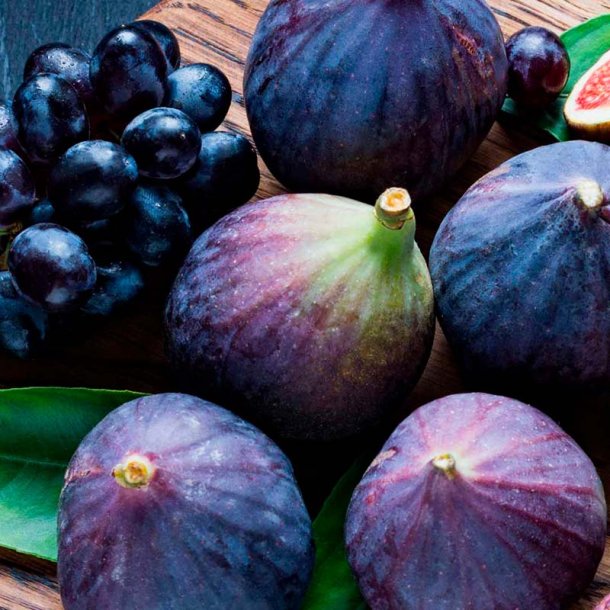 Figen og solb�r duftolie (fig and casis), koncentreret