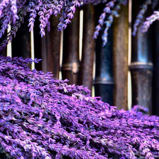 Chanel-inspireret duftolie (Freedom), koncentreret, maskulin