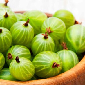 Stikkelsb�r og hvid te duftolie (gooseberry and white tea), koncentreret