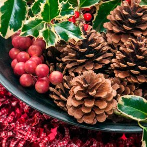 Kristtj�rn og efeu duftolie (holly and ivy), koncentreret