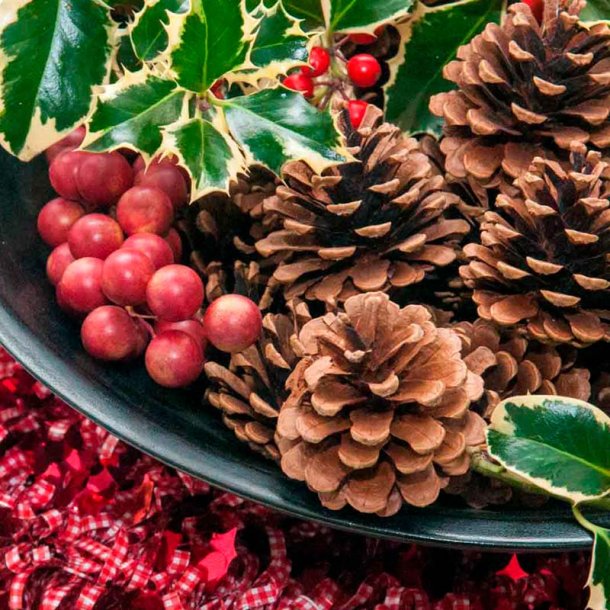 Kristtj�rn og efeu duftolie (holly and ivy), koncentreret