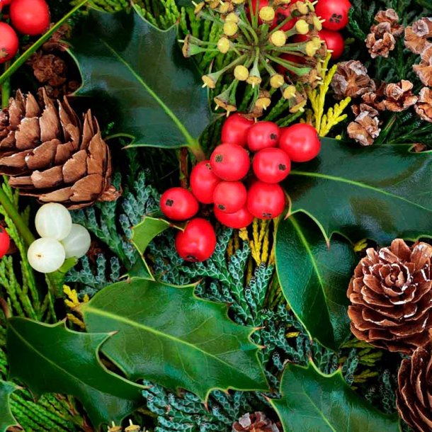 Kristtj�rn og mistelten duftolie (holly berry &amp; mistletoe), koncentreret