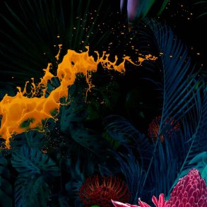 Kenzo-inspireret duftolie (Jungle), koncentreret, maskulin