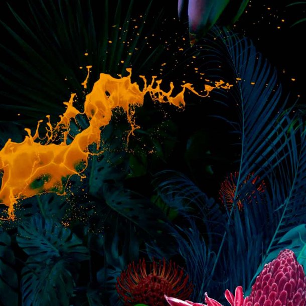 Kenzo-inspireret duftolie (Jungle), koncentreret, maskulin