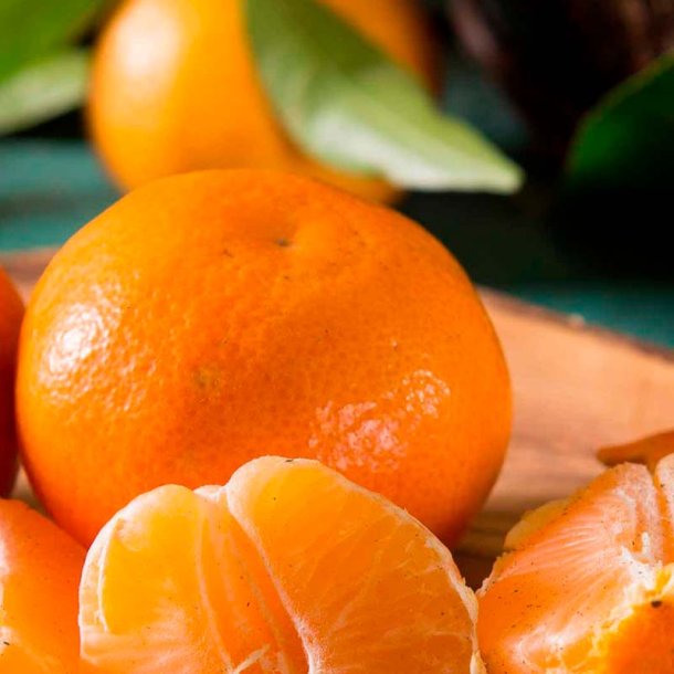 Mandarin duftolie, koncentreret