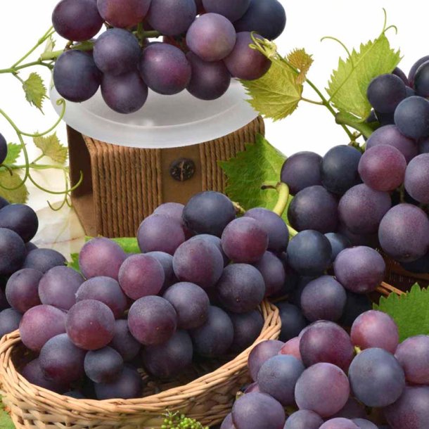 Bl druer duftolie (purple grape), koncentreret