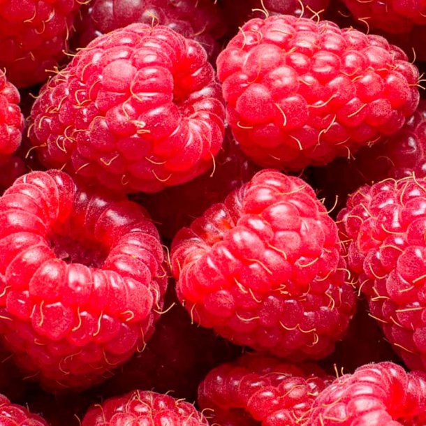 Hindb�r duftolie (raspberry), koncentreret
