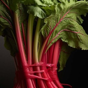Rabarber duftolie (rhubarb), koncentreret