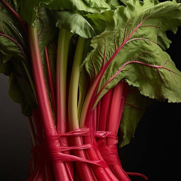 Rabarber duftolie (rhubarb), koncentreret