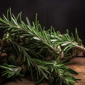 Rosmarin duftolie (rosemary), koncentreret