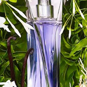 Lanc�me-inspireret duftolie (Somnus), koncentreret, feminin