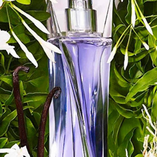 Lanc�me-inspireret duftolie (Somnus), koncentreret, feminin