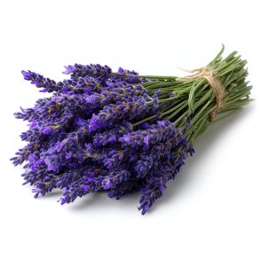 Lavender (Flavor West)