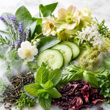 Frisk gr�nt og blomster med aroma damp i baggrunden