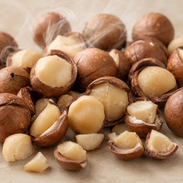 Macadamia