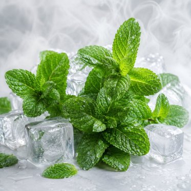 Menthol