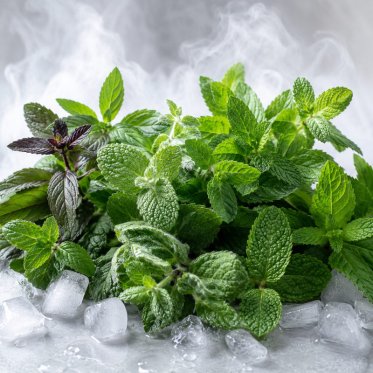 Mint-blandinger