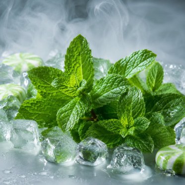 Spearmint