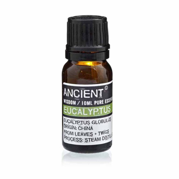 Eukalyptus terisk olie (eucalyptus), 10ml