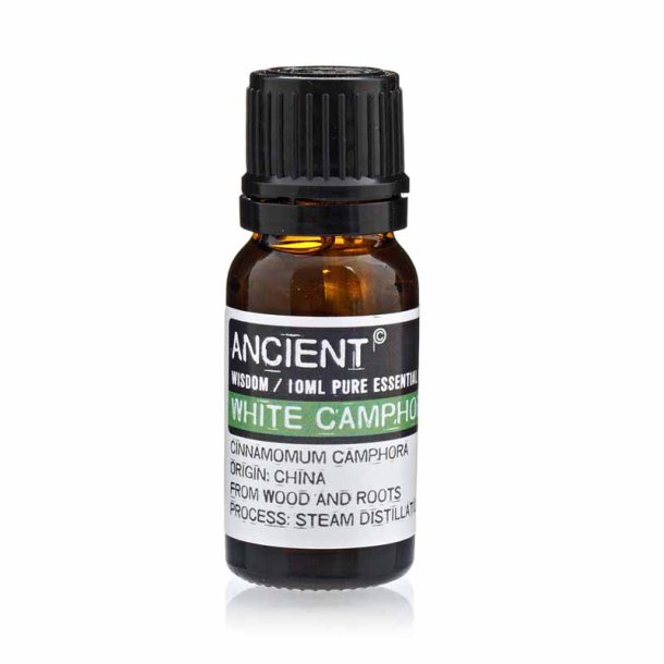 Kamfer terisk olie (white camphor), 10ml