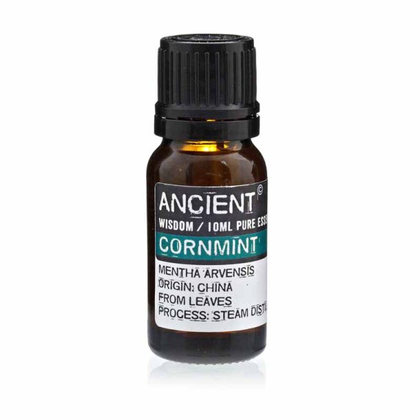 Mynte �terisk olie (cornmint), 10ml