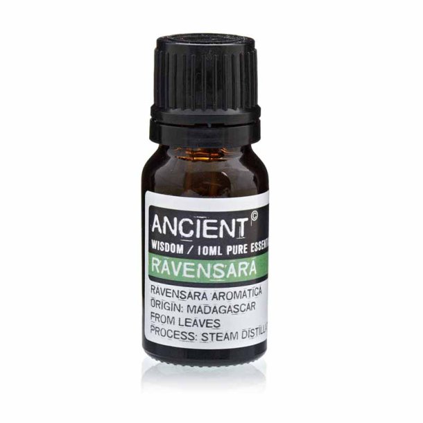 Ravensara terisk olie, 10ml