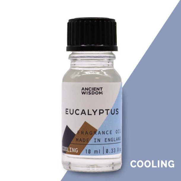 Eukalyptus duftolie (eucalyptus), 10 ml