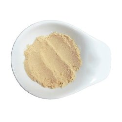 Aloe vera pulver, �kologisk, 200 x koncentreret, 100% rent, 10g