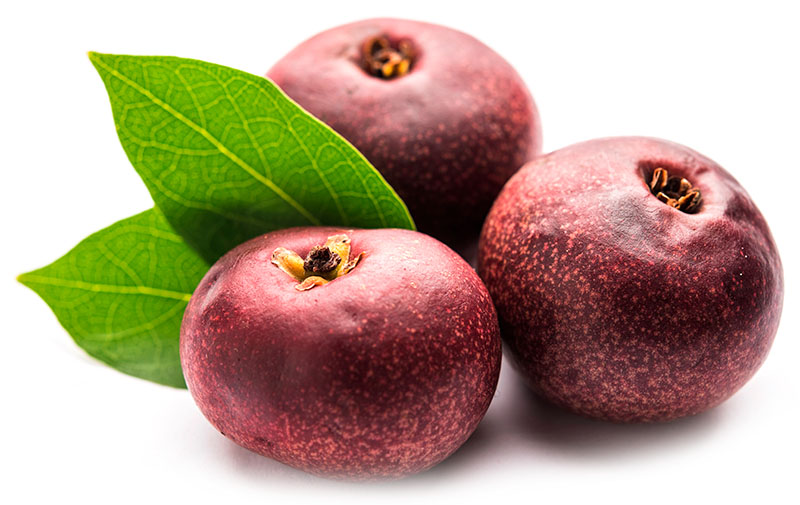 Kokum-frø til vegetabilsk kokumsmør