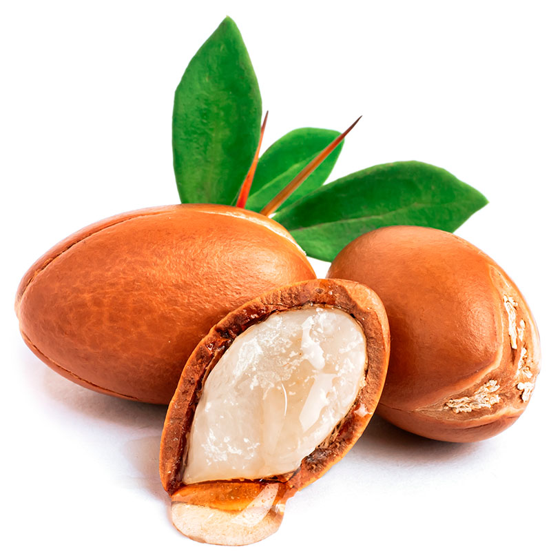 Argan-nødder til vegetabilsk arganolie