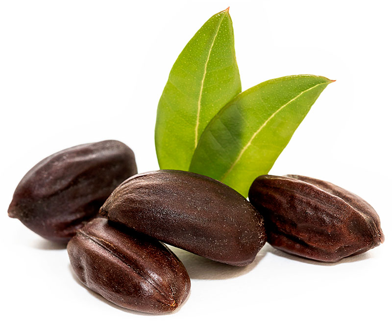 Jojoba-frø til vegetabilsk jojobaolie